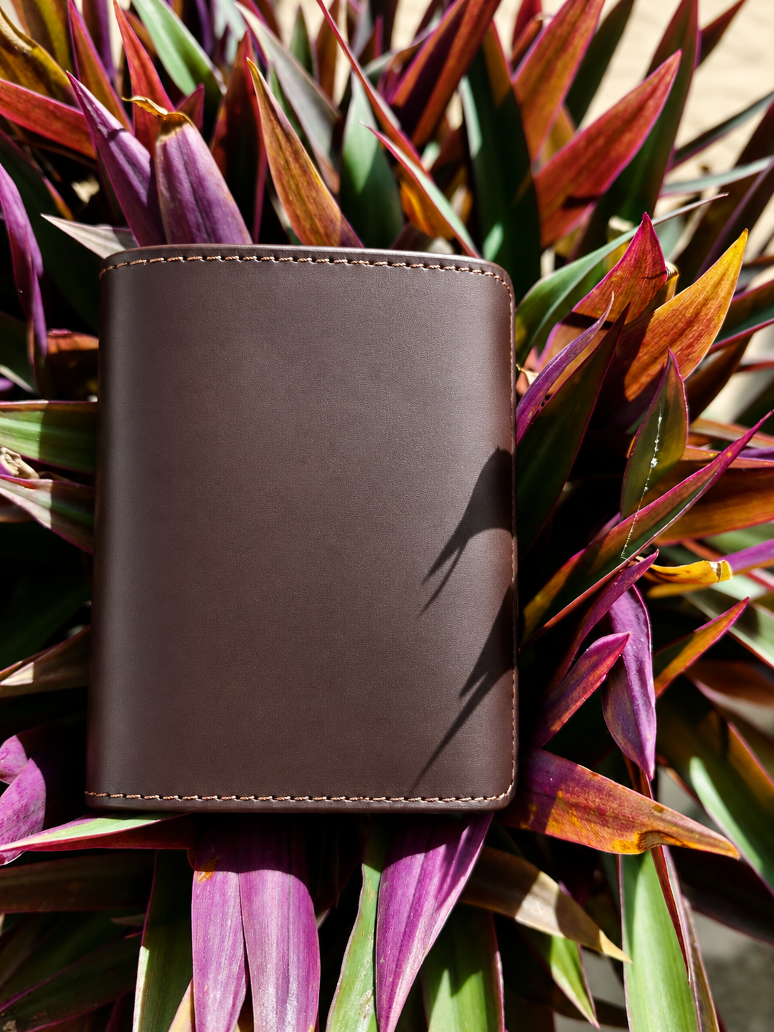 Norlux Shadow Brown Pop-Up Card Holder 🤎